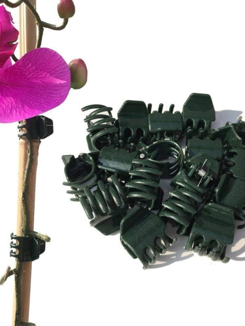 50 PCS Large Size Orchid Clips and Garden Support Clips Green Not with Flower an